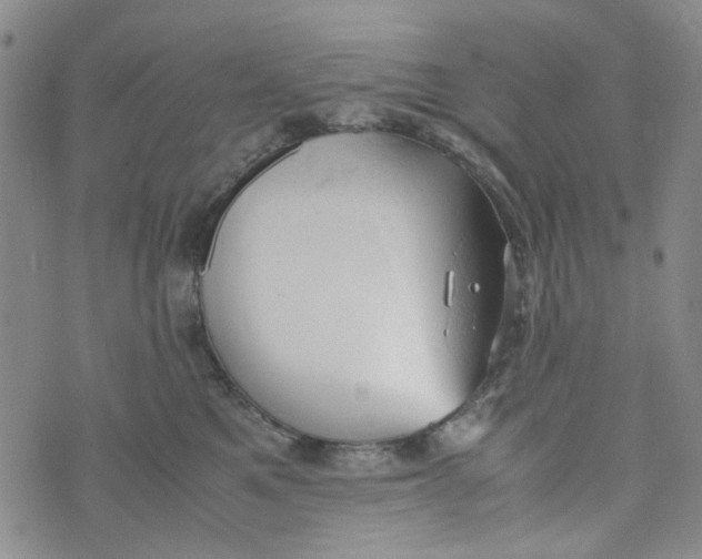 X0000072550521200608041651