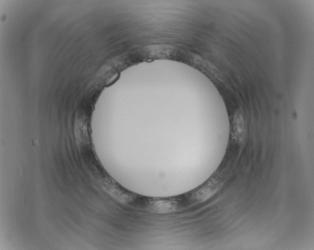 X0000072550522200608041651