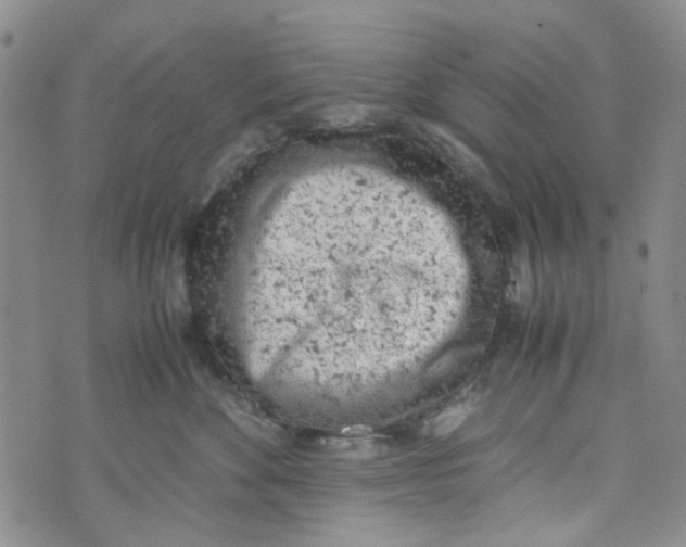 X0000072550524200608041651