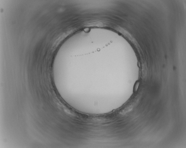 X0000072550529200608041650