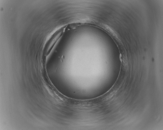 X0000072550532200608041650