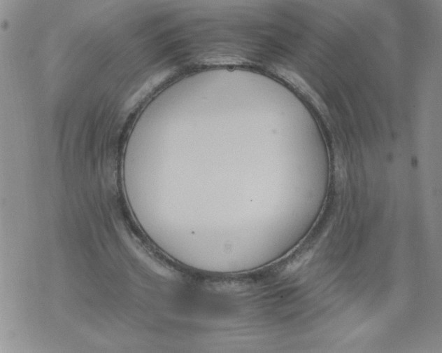 X0000072550533200608041650