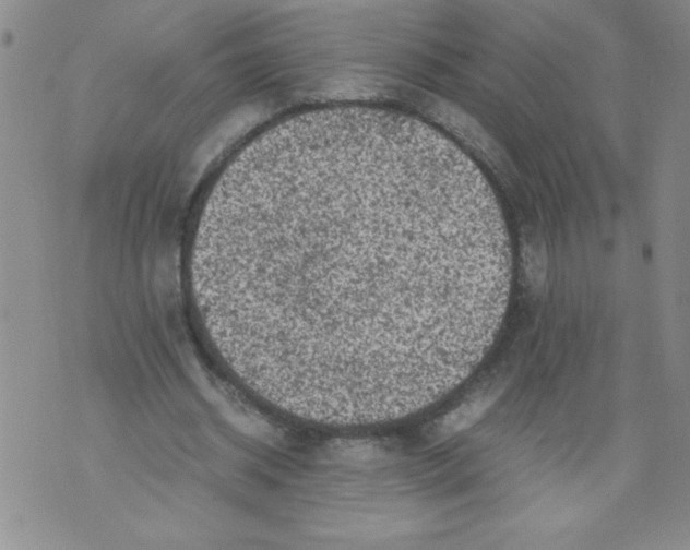 X0000072550534200608041650