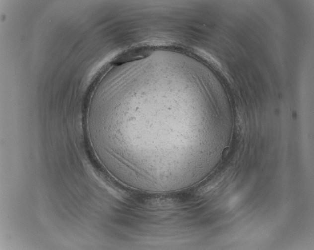 X0000072550535200608041650