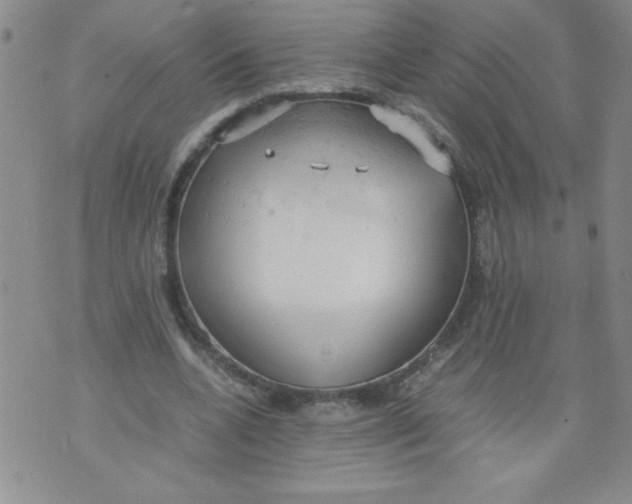 X0000072550536200608041650