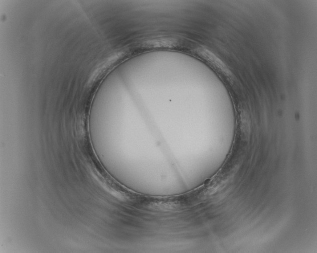 X0000072550537200608041650