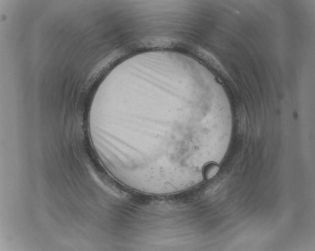 X0000072550538200608041650