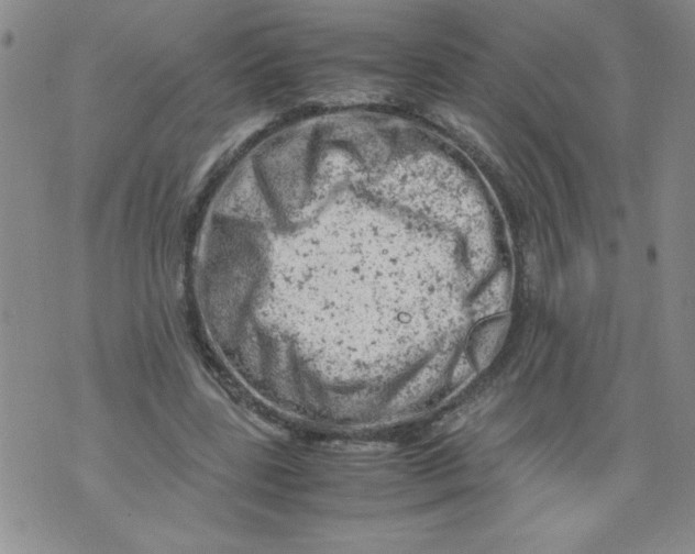 X0000072550539200608041650