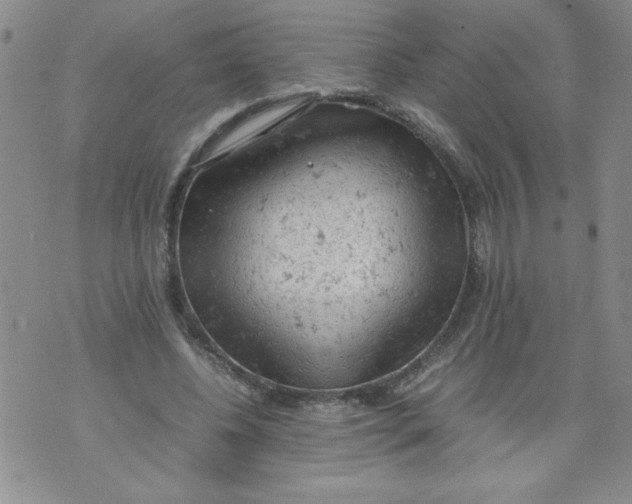 X0000072550540200608041650