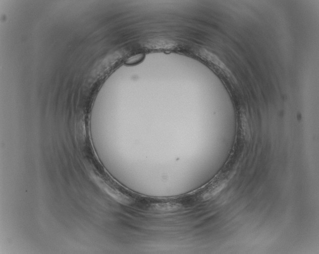 X0000072550541200608041650