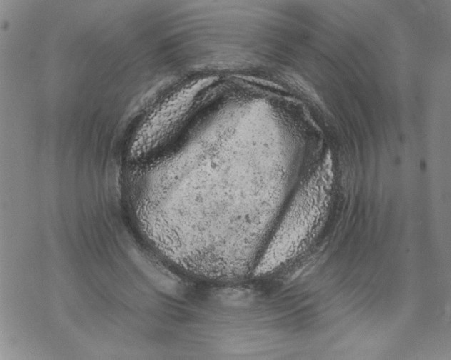 X0000072550542200608041650