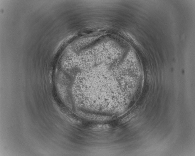 X0000072550543200608041650