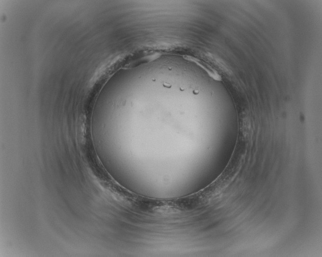 X0000072550544200608041650