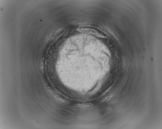 X0000072550545200608041650