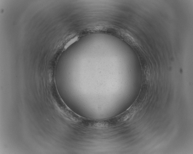 X0000072550546200608041650