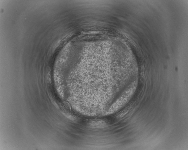 X0000072550547200608041650