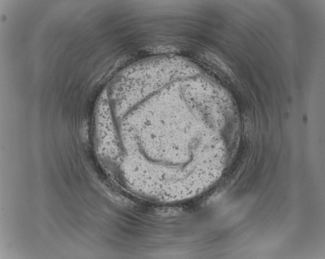 X0000072550549200608041650