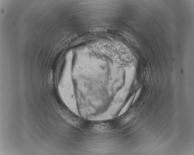 X0000072550550200608041650