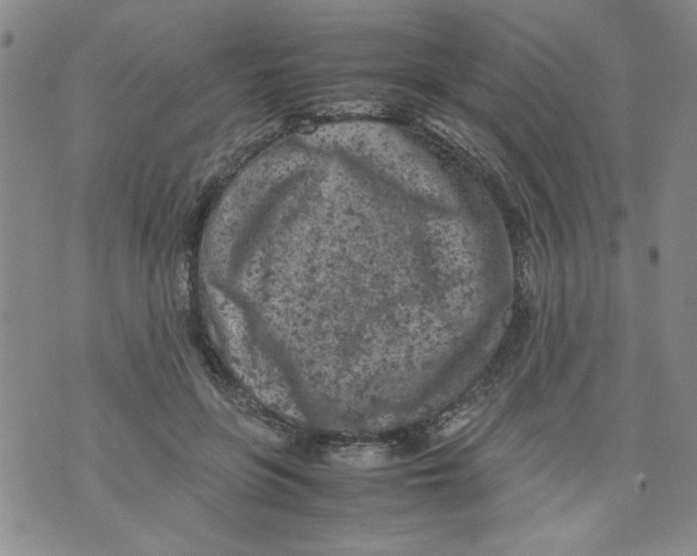 X0000072550551200608041650