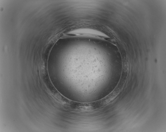 X0000072550552200608041650