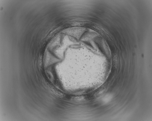 X0000072550554200608041650