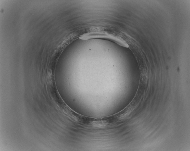 X0000072550556200608041651