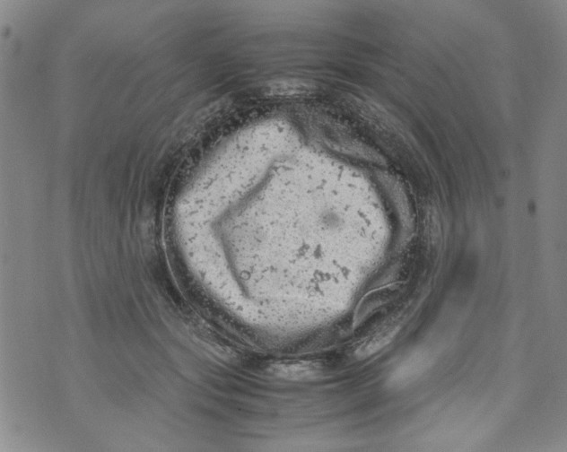 X0000072550557200608041651