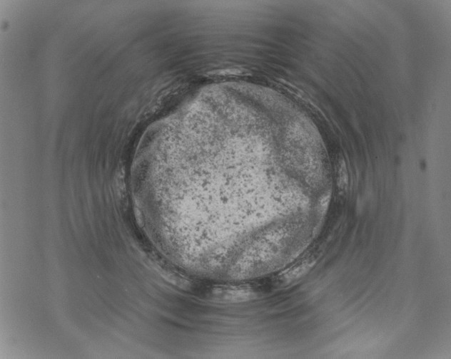 X0000072550559200608041651