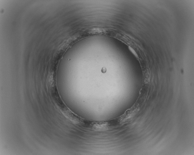 X0000072550560200608041651