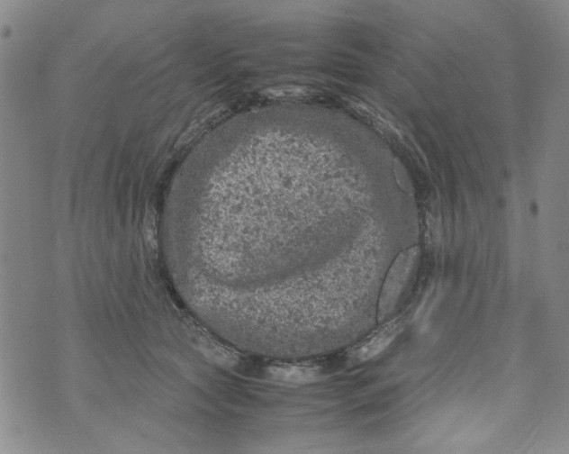 X0000072550561200608041651