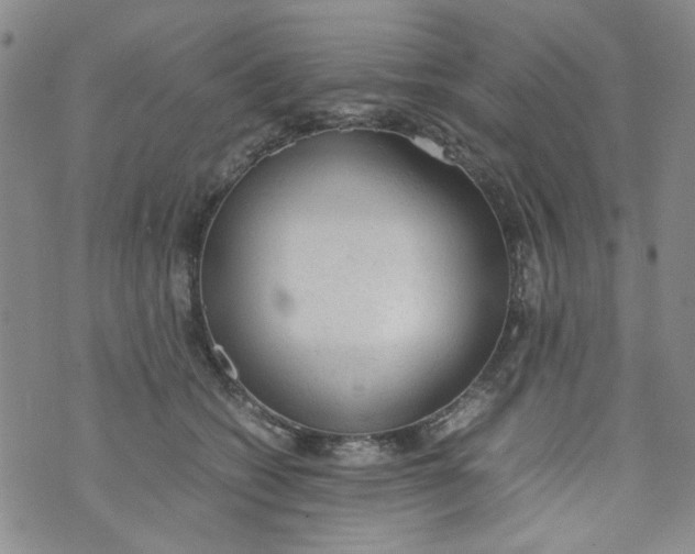 X0000072550562200608041651