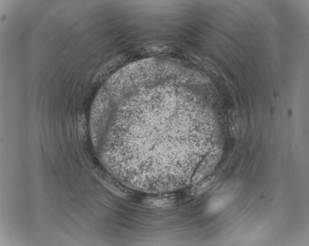 X0000072550563200608041651