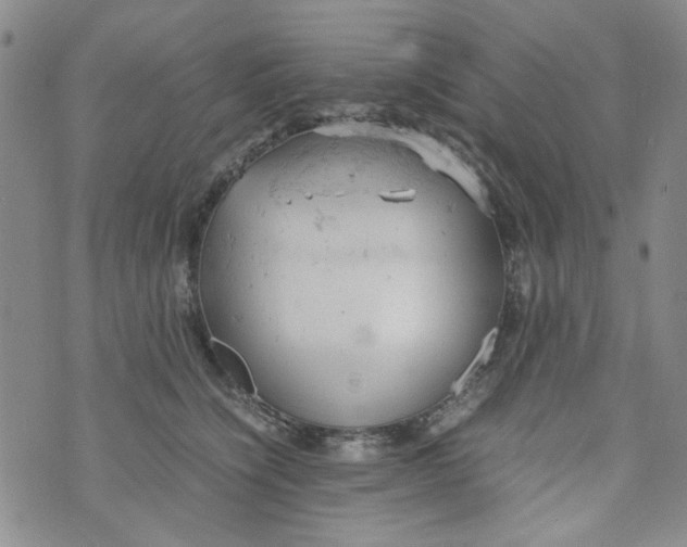 X0000072550564200608041651