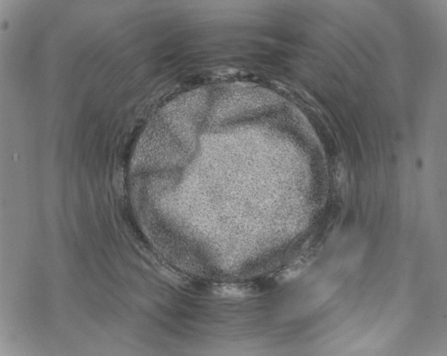 X0000072550565200608041651