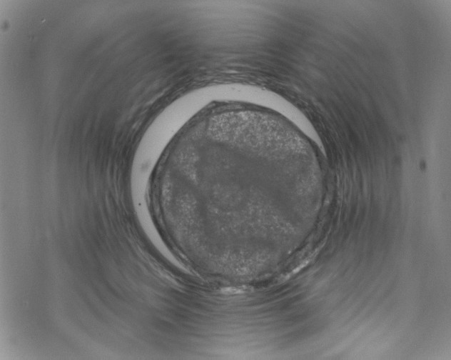 X0000072550566200608041651