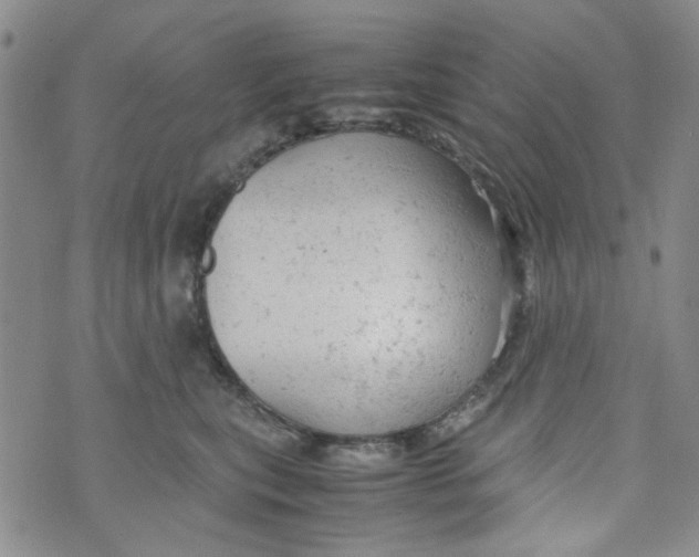 X0000072550567200608041651