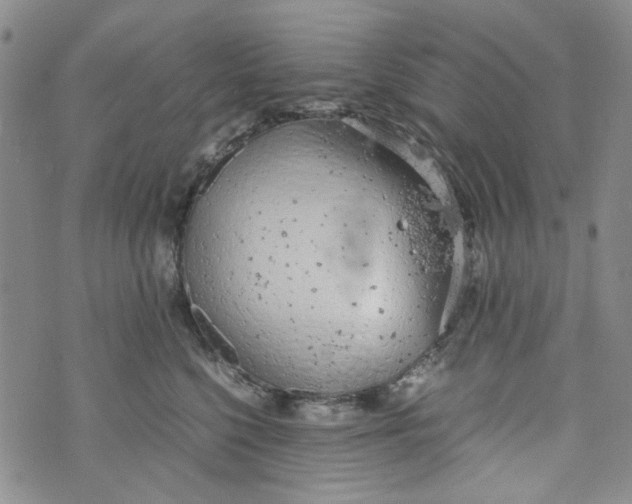 X0000072550568200608041651