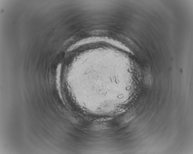 X0000072550569200608041651