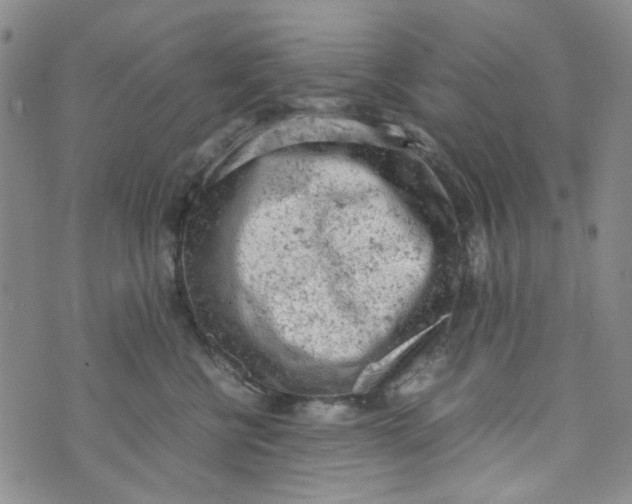 X0000072550570200608041651