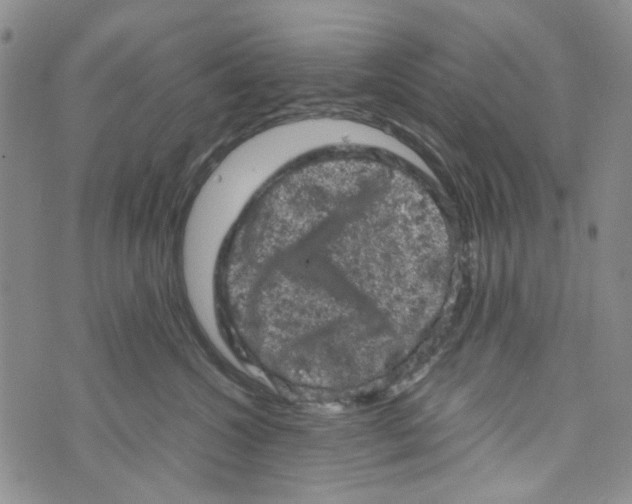 X0000072550572200608041651