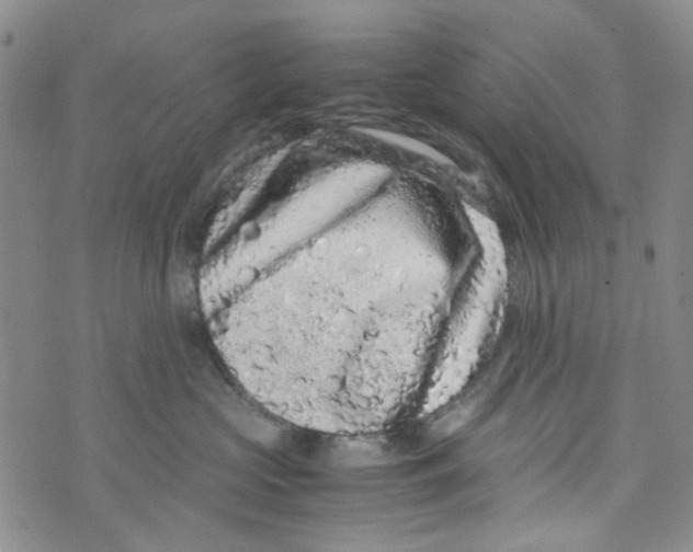 X0000072550573200608041651