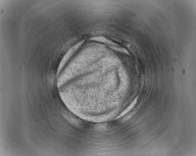 X0000072550574200608041651