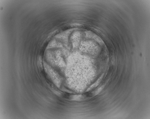 X0000072550575200608041651