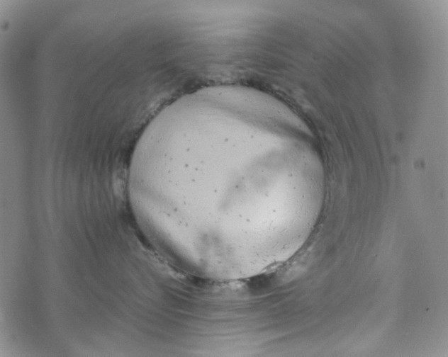 X0000072550576200608041651