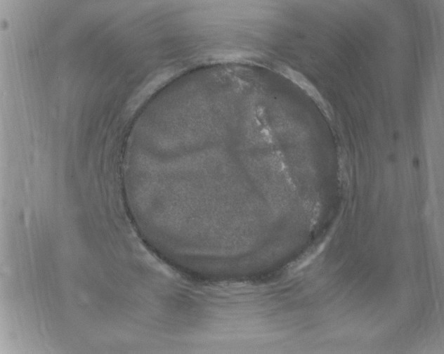 X0000072550577200608041650