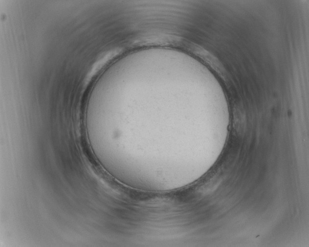 X0000072550578200608041650