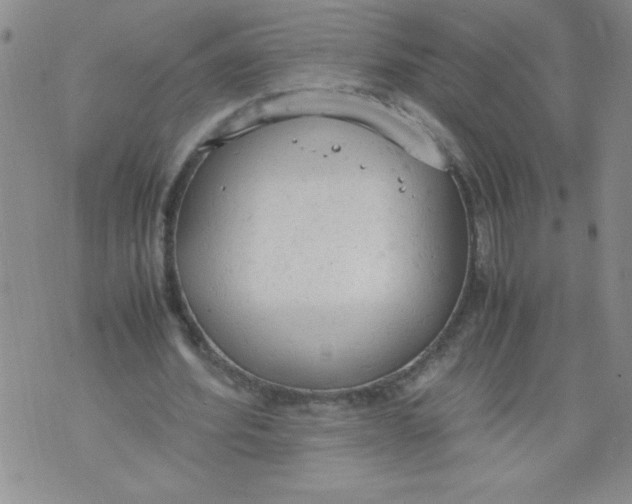 X0000072550580200608041650