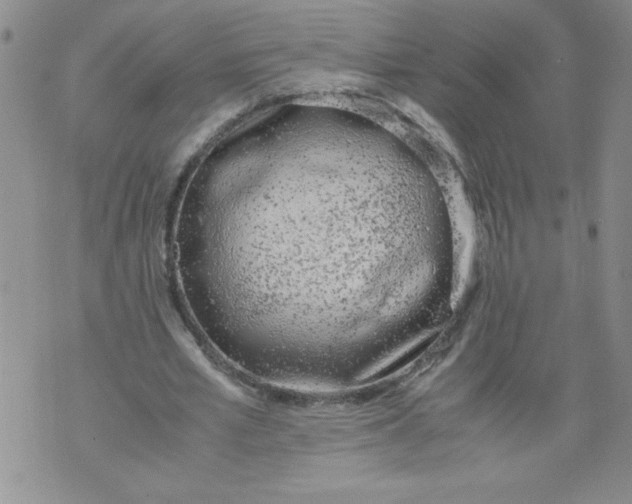 X0000072550581200608041650