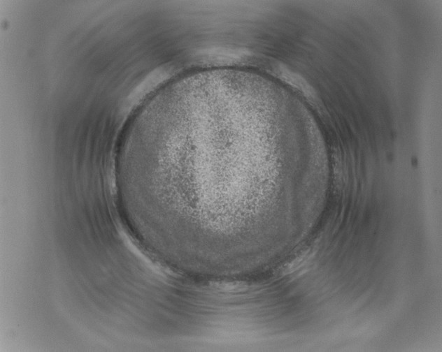 X0000072550582200608041650