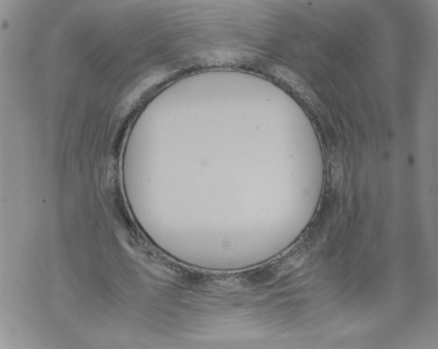 X0000072550583200608041650